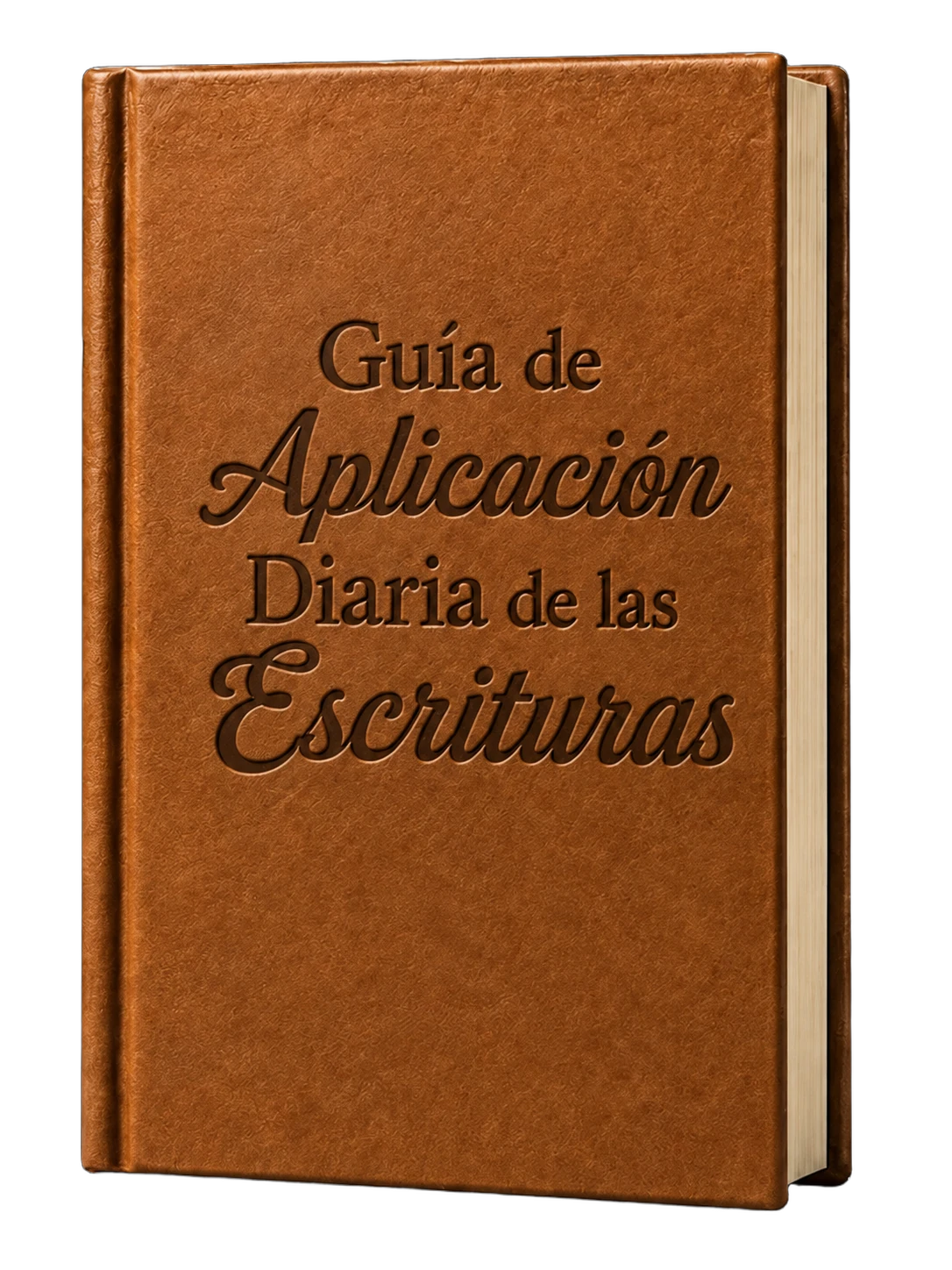 Bono 3: Guía de Aplicación Diaria de las Escrituras
